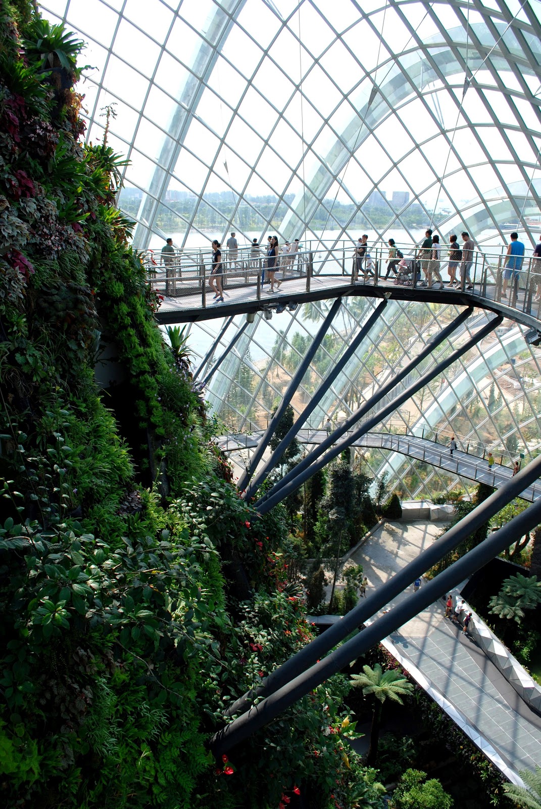 Үүлэн ой ба Цэцгийн хүлэмж