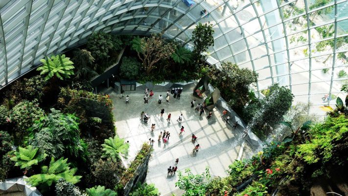 Сингапур аялал Үүлэн ой ба Цэцгийн хүлэмж